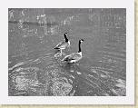 DSC02220_bearbeitet * 2592 x 1944 * (2.36MB)
