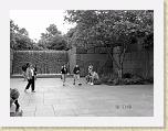 DSC02276_bearbeitet * 2592 x 1944 * (2.24MB)