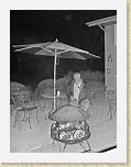 DSC02436_bearbeitet * 1944 x 2592 * (4.09MB)