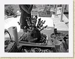 DSC02632_bearbeitet * 2592 x 1944 * (3.3MB)