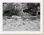 DSC02691_bearbeitet * 2592 x 1944 * (1.92MB)