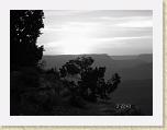 DSC02871 * 2592 x 1944 * (1.99MB)