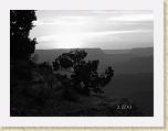 DSC02873 * 2592 x 1944 * (2.18MB)