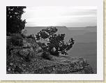 DSC02875_bearbeitet * 2592 x 1944 * (3.14MB)