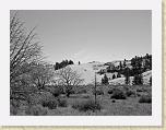 DSC03237_bearbeitet * 2592 x 1944 * (2.3MB)