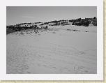 DSC03244 * 2592 x 1944 * (1.97MB)