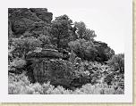 DSC03248_bearbeitet * 2592 x 1944 * (2.68MB)