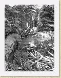 DSC03395_bearbeitet * 1944 x 2592 * (2.14MB)