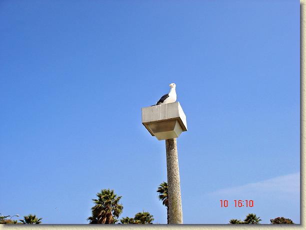 Nächstes Bild