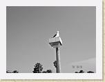 DSC03511_bearbeitet * 2592 x 1944 * (2.81MB)