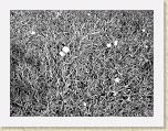 DSC03516_bearbeitet * 2592 x 1944 * (2.19MB)