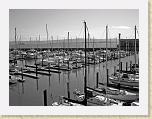 DSC03587_bearbeitet * 2592 x 1944 * (3.31MB)