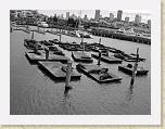 DSC03682_bearbeitet * 2592 x 1944 * (2.08MB)