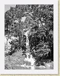 DSC03713_bearbeitet * 1944 x 2592 * (2.37MB)
